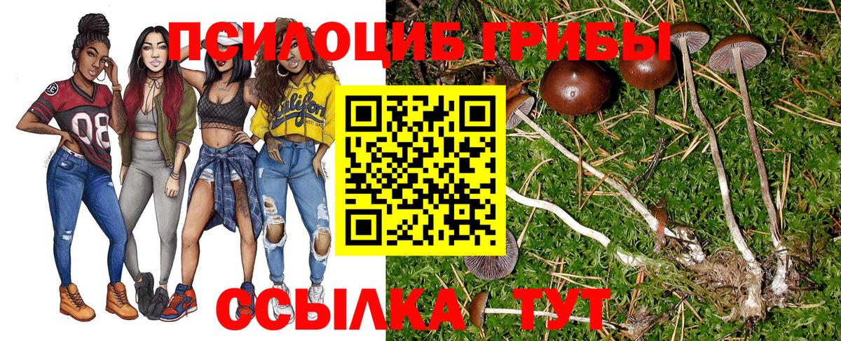 закладки  Псилоцибиновые грибы мицелий  Вход с VPN  Заводоуковск 