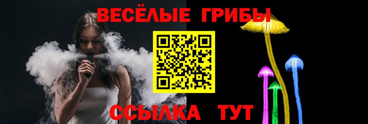 Галлюциногенные грибы Psilocybine cubensis Заводоуковск