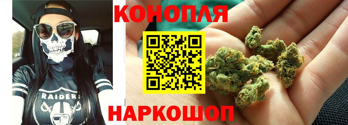 Заводоуковск  Каннабис сатива  Канабис OG Kush  Вход с VPN  Марихуана гибрид 
